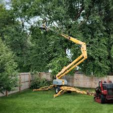 Best Storm Damage Tree Cleanup  in Matamoras, PA