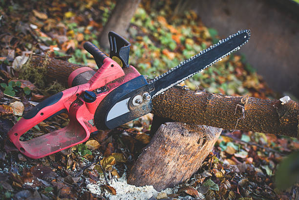 Best Emergency Tree Removal  in Matamoras, PA